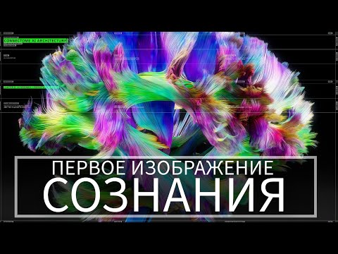 Видео: Что такое СОЗНАНИЕ в 2024? | Новейшие открытия и эксперименты