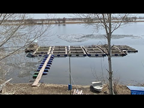 Видео: Осетровая ферма в Саратове! Здесь я проработал 11 лет. #иваносетр