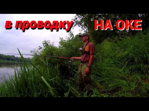 Видео: ПОПЛАВОК НА ОКЕ. НА КУКУРУЗУ КРУПНЕЕ. ВОДА В ПОДЪЁМЕ.