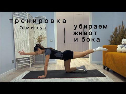 Видео: Как убрать ЖИВОТ и БОКА/ТРЕНИРОВКА 15 МИНУТ