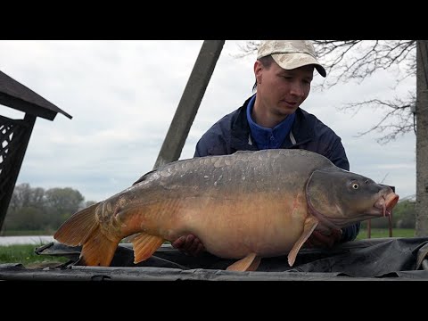Видео: КАРПОВАЯ РЫБАЛКА, ПОТЯНУЛ КАБАНЧИКА, ВЕСЕННИЙ  BIG FISH