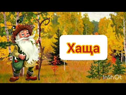 Видео: Розвиток мовлення. Тема: "Великі і маленькі серед рослин"