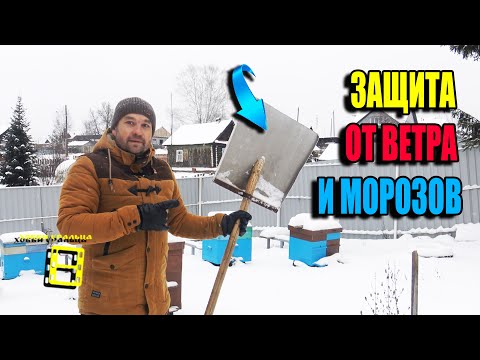 Видео: ЗАЩИТА УЛЬЕВ ОТ ВЕТРА И МОРОЗОВ ПРИ ЗИМОВКЕ ПЧЕЛ НА УЛИЦЕ. ДЛЯ НАЧИНАЮЩИХ ПЧЕЛОВОДОВ 22-46