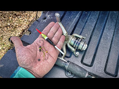 Видео: Лучшая оснастка для ловли синежаберных щук