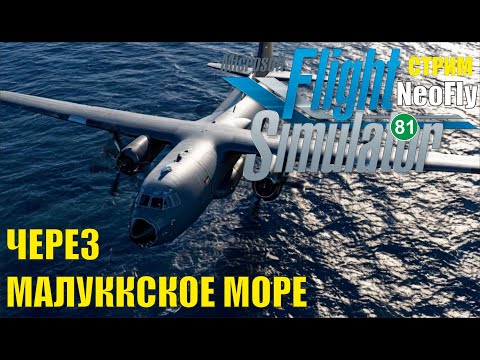 Видео: Microsoft Flight Simulator 2020 (NeoFly) - Через Малуккское море