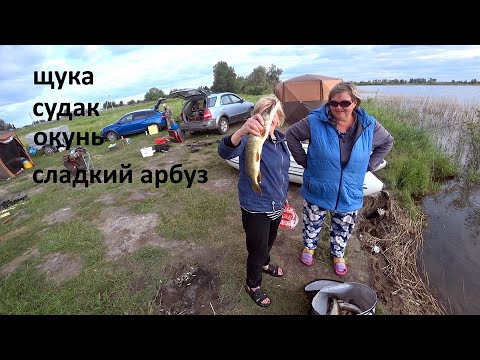 Видео: Рыбалка на озере . Судак , щука , окунь , карась и сладкий арбуз !