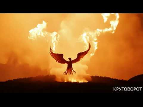 Видео: Альбом  - "КРУГОВОРОТ" 2025