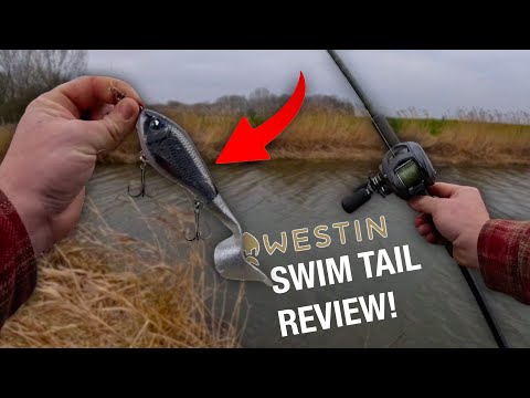 Видео: Ловля щуки на реке с новой приманкой Westin Swim Tail! Испытание приманок, эпизод 1