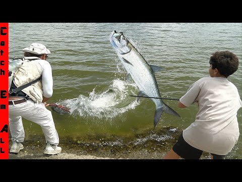 Видео: РЫБА-МОНСТР Тащит МЕНЯ в ВОДУ с АКУЛАМИ!