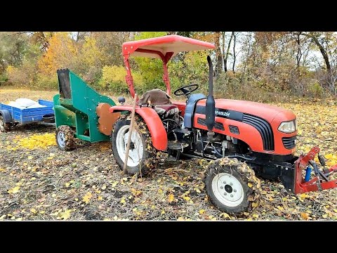 Видео: Так що варто було сіяти в 2025 році?