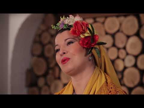 Видео: Силвия Димитрова "А бре, Илия"