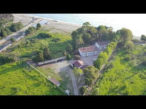 Видео: Пляж с высоты птичьего полёта