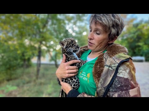 Видео: У нас в детском саду НОВЫЙ ОТКАЗНИЧОК- маленький ягуар!