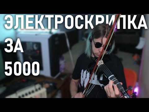 Видео: ЭЛЕКТРОСКРИПКА ЗА 5 КАСАРЕЙ