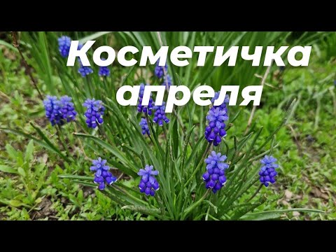 Видео: Косметичка на апрель 2024 🌺