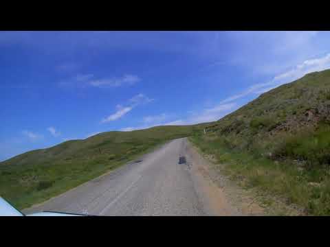 Видео: Дорога от села Алтайка до города Алтай / Зыряновск / ВКО /2021