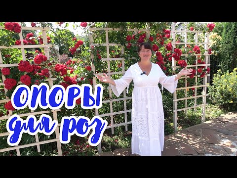 Видео: ОПОРЫ ДЛЯ РОЗ. Как установить? Какие опоры нужны для роз? Какие розы у каких опор посадить?