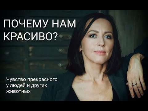 Видео: Чувство прекрасного у людей и других животных // лекция Евгении Тимоновой
