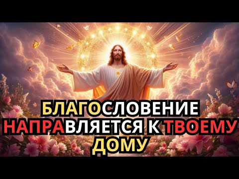 Видео: Благословение направляется в твой дом — будь готов принять его!» 🌸