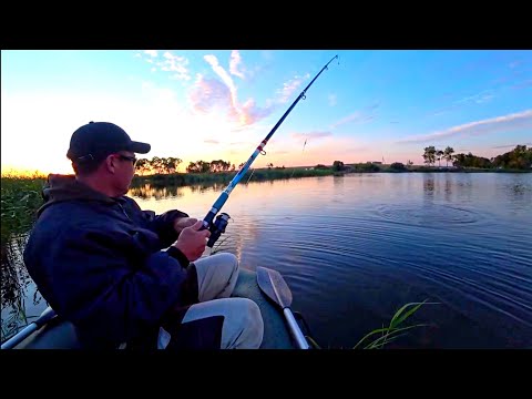 Видео: Рыбалка в Казахстане 2020!Ловля Карпа! Озеро Кайнар ! Обстановка по кайфу!