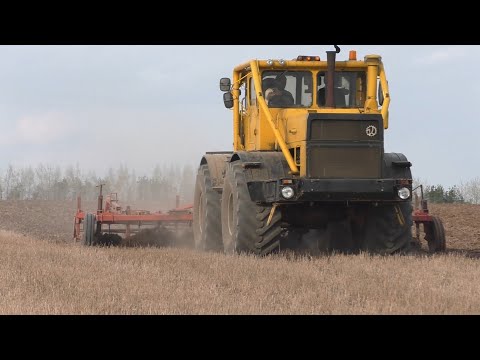 Видео: Экспортный Кировец К700 приехал на обработку почвы!