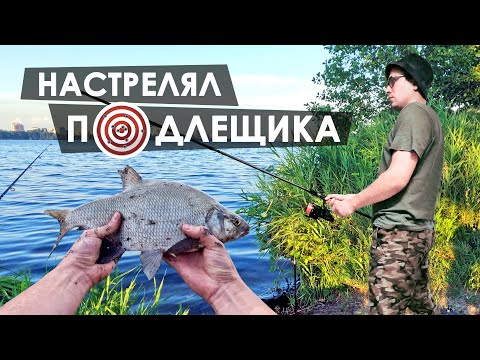 Видео: Наловил подлещика. Рыбалка на донки.