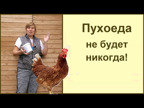 Видео: Обработка и дезинфекция курятника по новому