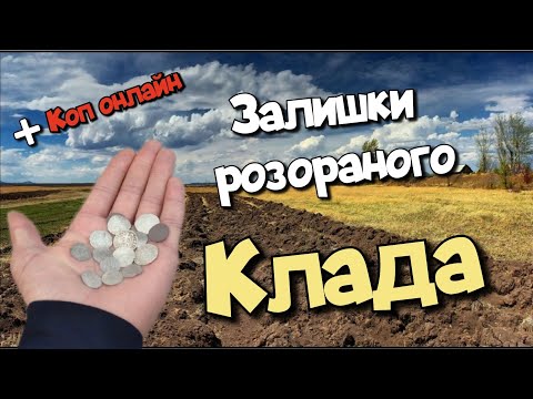 Видео: Коп монет 2023 ОНЛАЙН 😉 Залишки КЛАДА ПОЛЬСЬКИХ МОНЕТ! Пошук монет на місці де був клад! Minelab