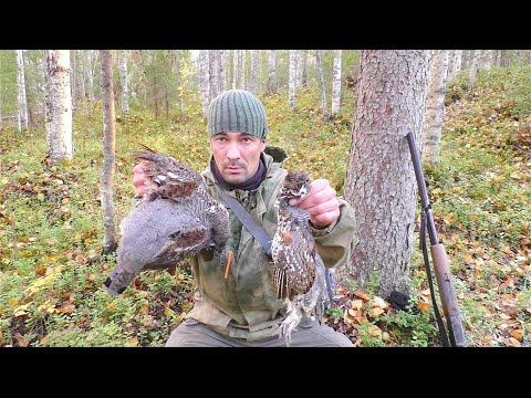 Видео: РЕДКО ТАК ВЕЗЁТ / ОХОТА НА РЯБЧИКА С МАНКОМ / РУЖЬЁ СДАЮ В УТИЛЬ ПО-ЛЮБОМУ / ШИКАРНЫЕ МОМЕНТЫ В ЛЕСУ