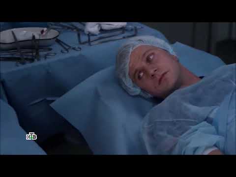 Видео: 5 минут тишины ни шагу назад