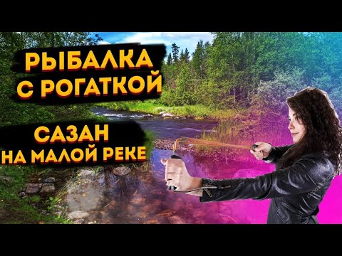 Видео: Нашел места стоянки рыбы! | Рыбалка с рогаткой и стрелами | Охота на рыбу с рогаткой | Часть 2 #23