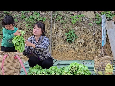 Видео: Повседневная жизнь Сунг Луен: материнская любовь и тяжёлый труд на горном рынке