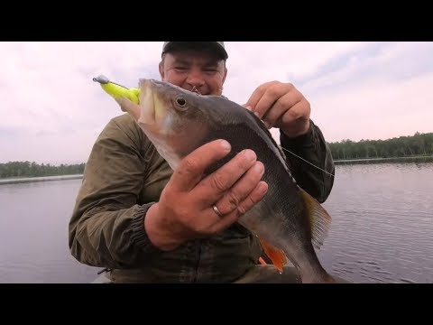 Видео: КИЛОГРАММОВЫЕ ОКУНИ ОДИН ЗА ДРУГИМ! Мега-перегруз спиннинга. Пять крутых спиннингов за репост.