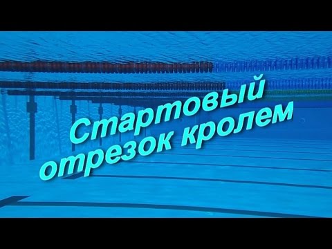 Видео: "Старт - кроль".