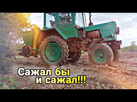 Видео: Самопальный тракторок Т-25 и сажалка Bomet S-239 // Лучше не бывает // Посадка картофеля 2022