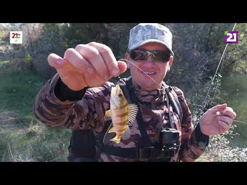 Видео: Карпатське рибалля / Ловля хижака на річці Латориця поблизу села Тисаашвань (с. Мінеральне)