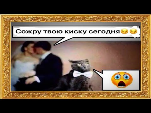 Видео: 🟢Тик-ток сильно боится🔴Подборка мемов ✴️