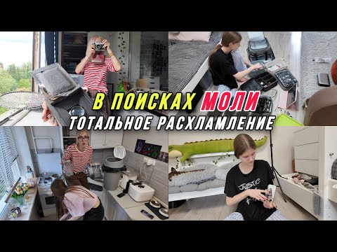 Видео: Уборка. В поисках моли. Артефакты и тотальное расхламление.