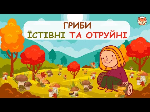 Видео: Гриби їстівні та отруйні. Дітям про гриби.