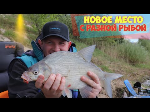 Видео: Карьер с разной рыбой! Весенние лещи на фидер Cadence.