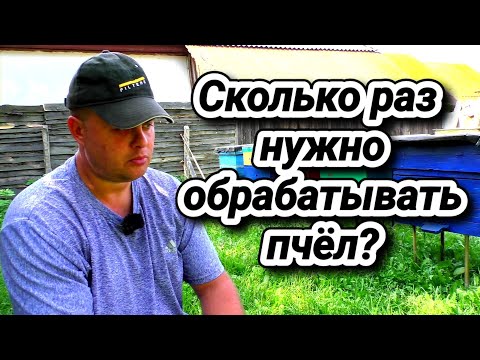 Видео: Сколько раз нужно обрабатывать пчёл осенью?