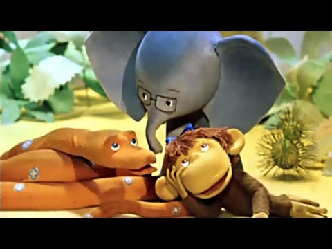 Видео: 38 попугаев - все серии подряд (HD)