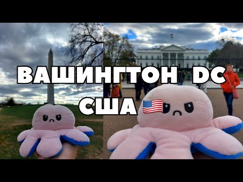 Видео: ВАШИНГТОН DC🇺🇸 | Памятники, музеи, UGRAD, и люди со всего мира 