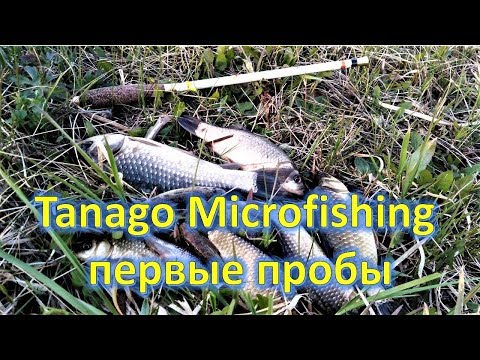 Видео: #Tanago #Microfishing первые пробы