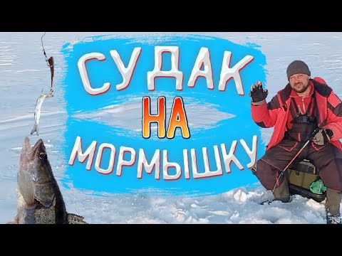 Видео: Судак в марте - рыбалка 2022 на мормышку.