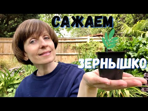 Видео: Развивающее занятие для детей 3-4 лет на тему ВЕСНА. Пальчиковая игра ЗЕРНЫШКО. Детям о природе.