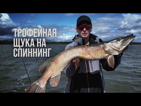 Видео: КРУПНАЯ ЩУКА ЛОМАЕТ КРЮЧКИ | ЛОВЛЯ ЩУКИ НА ДЖЕРКИ