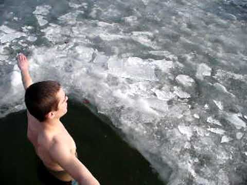 Видео: Морж ушел под лед