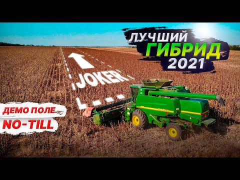 Видео: Урожайность, гибриды и нормы высева. Уборка подсолнечника на демо-поле. Комбайн John Deere 9660 2021