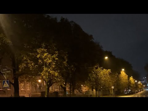 Видео: Прогулка с Ксенией в прямом эфире!